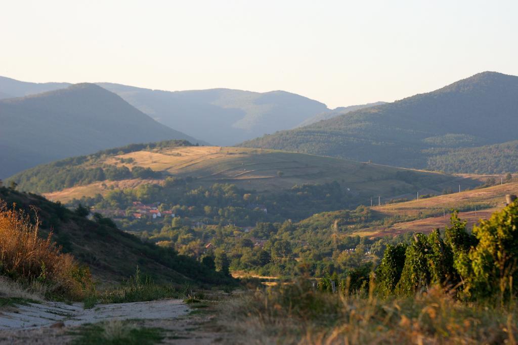 Cziroka Vendeghaz Apartment Tolcsva Luaran gambar